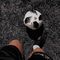 Amor Al Futbol