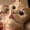 Chat y amistad