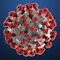 Coronavirus Covid-19