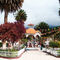 COMPRA Y VENTA ABANCAY