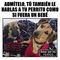 Consejo sobre Mascotas