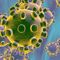 Cronavirus españa