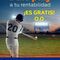 Curso Trading gratis