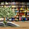 El rincón de los libros de sanación y energía.