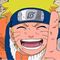 Fan Anime 360