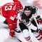HockeyFreaks HockeyNHL and Swiss Ice Hockey National League Freaks