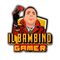 IL BAMBINO GAMER