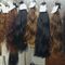 M d3extensiones