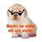 Grupo de Facebook de Memes