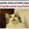 Pasión por los memes