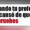 Pendejadas y memes