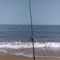 Pesca CÁDIZ