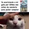 Rol pokemon mundo misterioso