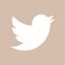 seguidores twitter