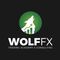 WOLF FX ACADEMY SIGNALS
